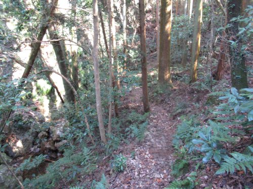 登山道